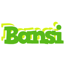 Bansi picnic logo