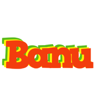 Banu bbq logo