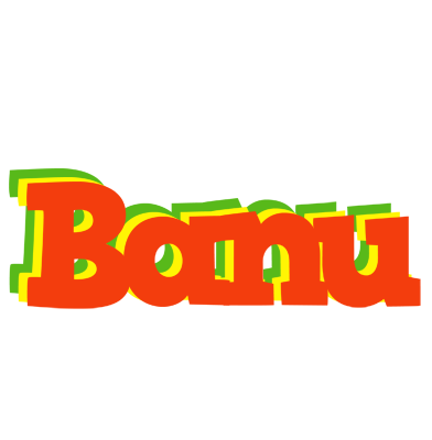 Banu bbq logo