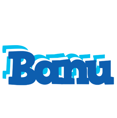 Banu business logo
