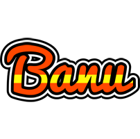 Banu madrid logo
