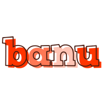 Banu paint logo