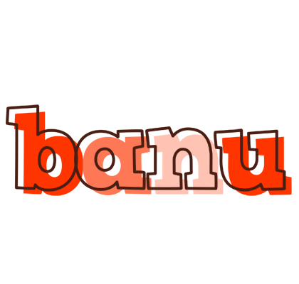 Banu paint logo