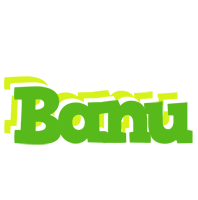 Banu picnic logo