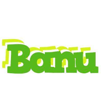 Banu picnic logo