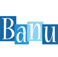Banu winter logo