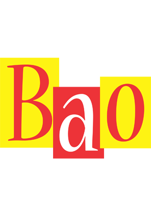 Bao errors logo
