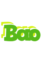 Bao picnic logo