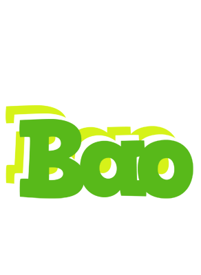 Bao picnic logo