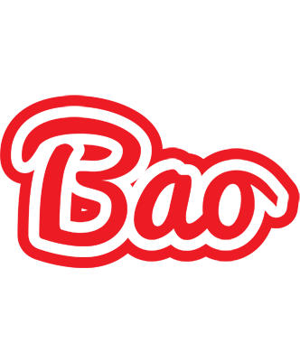 Bao sunshine logo