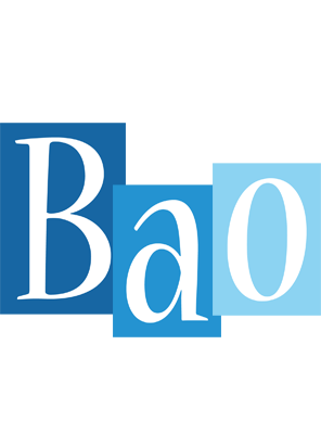 Bao winter logo