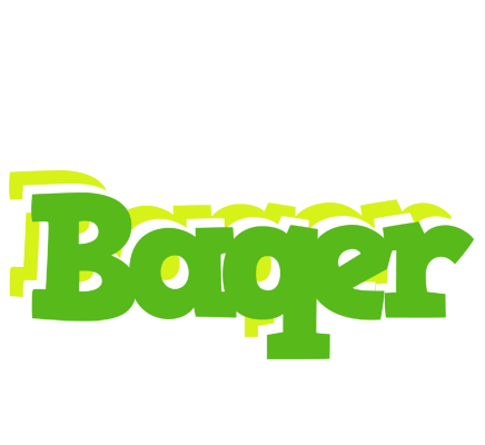 Baqer picnic logo