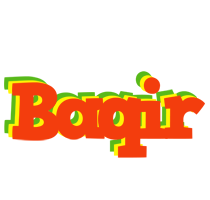 Baqir bbq logo