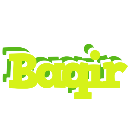 Baqir citrus logo