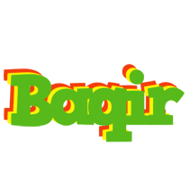 Baqir crocodile logo