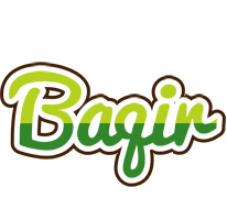 Baqir golfing logo