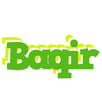 Baqir picnic logo