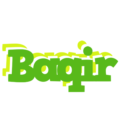 Baqir picnic logo