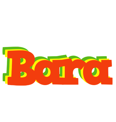 Bara bbq logo