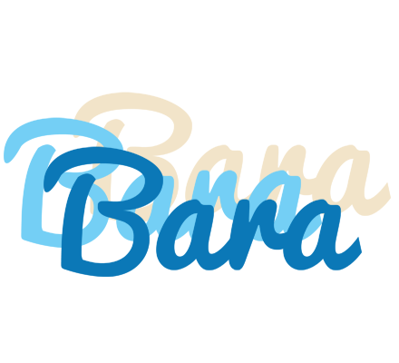 Bara breeze logo