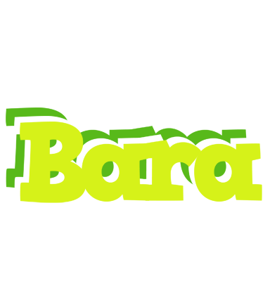 Bara citrus logo