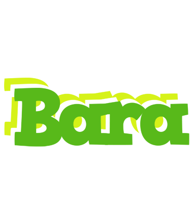 Bara picnic logo