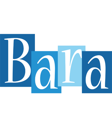 Bara winter logo