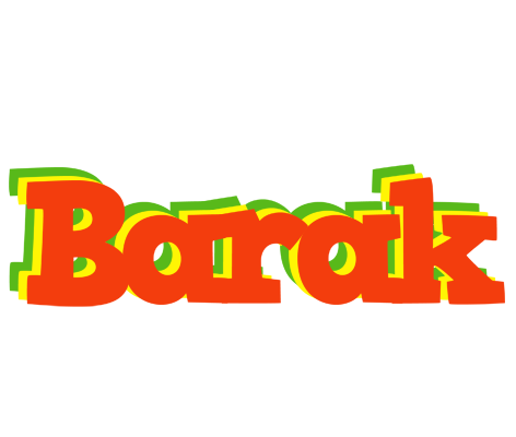 Barak bbq logo