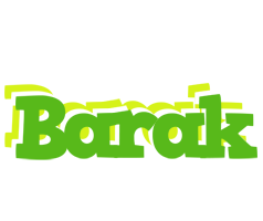 Barak picnic logo