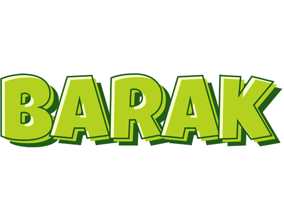 Barak summer logo
