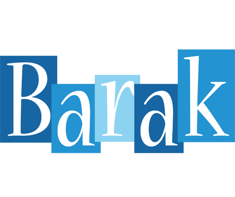 Barak winter logo
