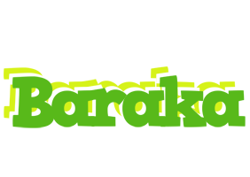 Baraka picnic logo