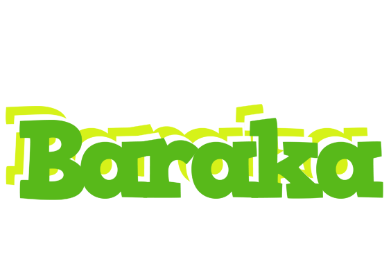 Baraka picnic logo