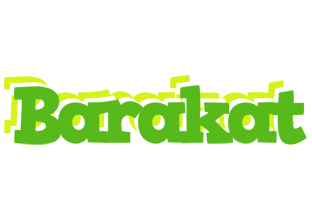 Barakat picnic logo