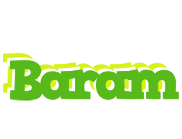 Baram picnic logo