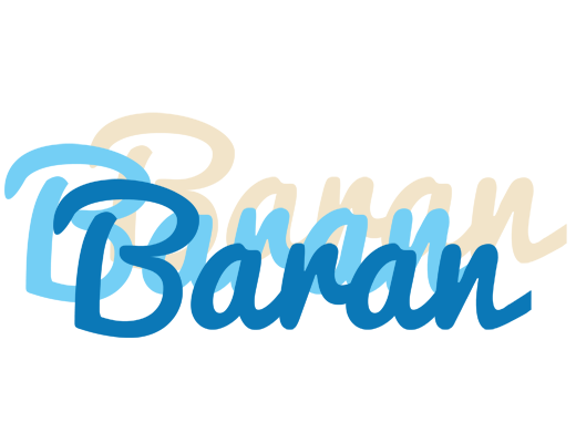 Baran breeze logo