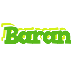 Baran picnic logo