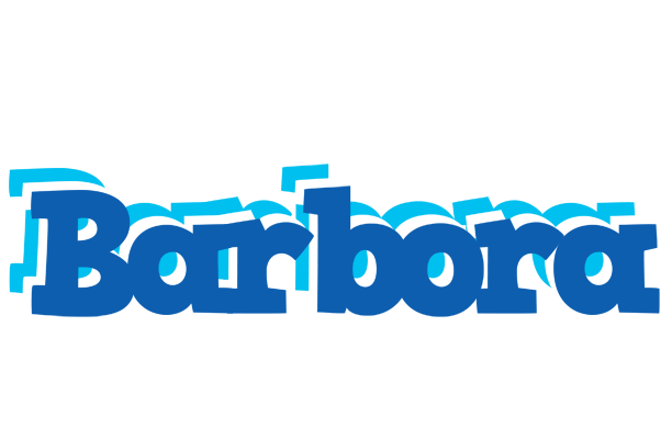 Barbora business logo