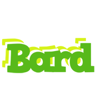 Bard picnic logo