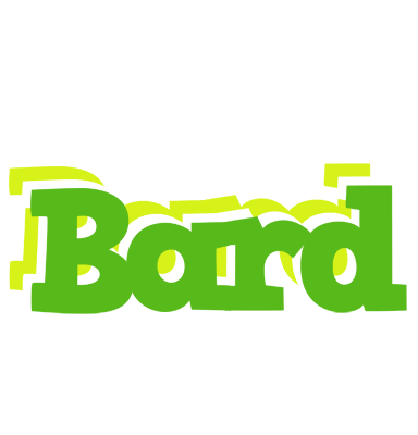 Bard picnic logo