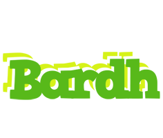 Bardh picnic logo