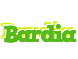 Bardia picnic logo