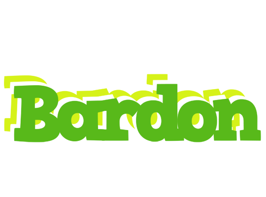 Bardon picnic logo