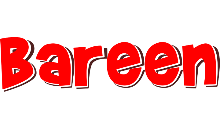 Bareen basket logo