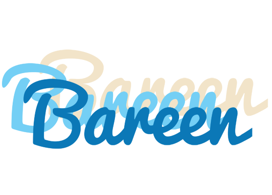 Bareen breeze logo
