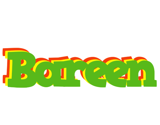 Bareen crocodile logo