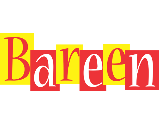 Bareen errors logo