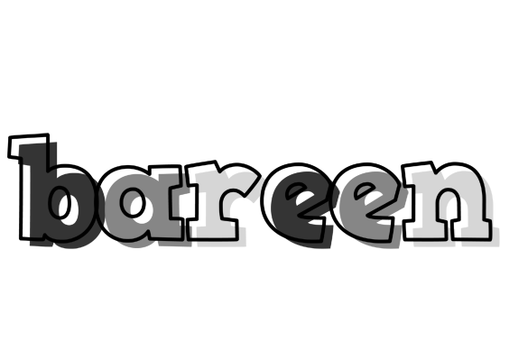 Bareen night logo