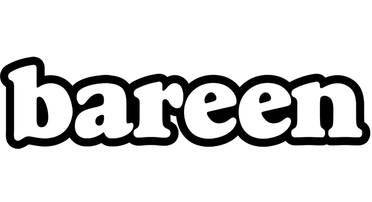 Bareen panda logo