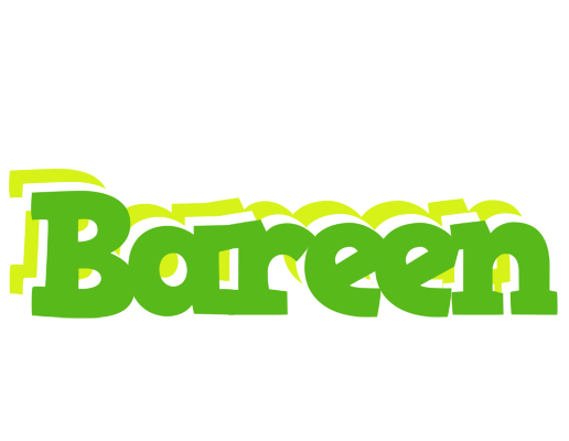 Bareen picnic logo